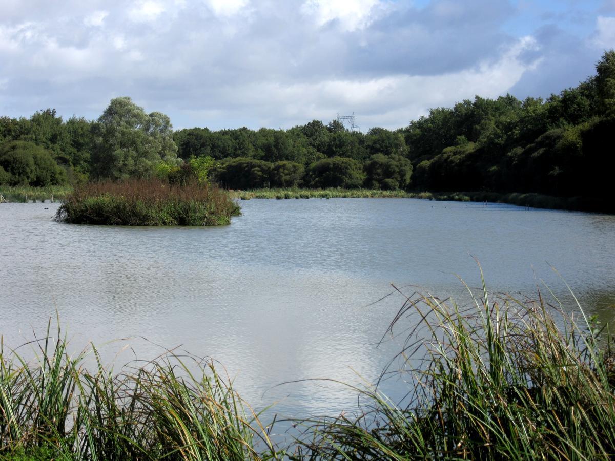 Parc De Launay Acomodação com café da manhã Louresse-Rochemenier Exterior foto